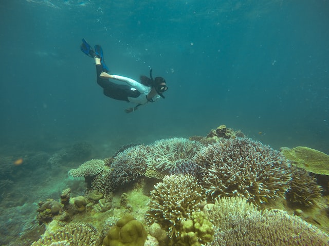 Scuba Diving