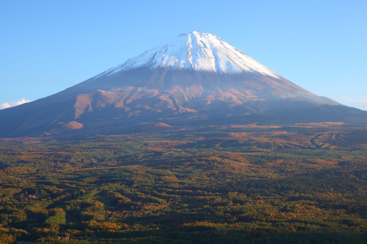 View of Mt.,Fuji with Aokigahara Forest