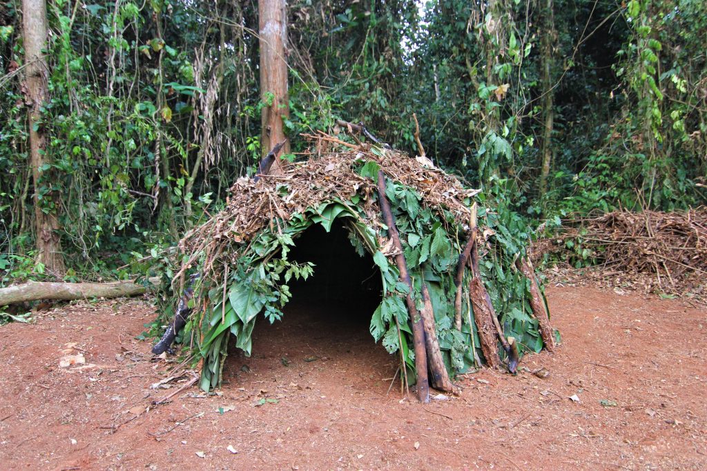 African Pygmy Tribe