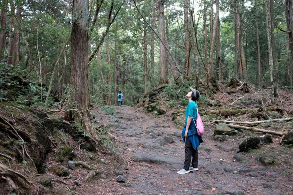 Hiking into Aokigahara
