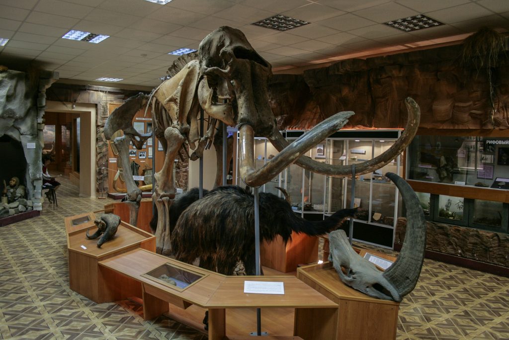 Mammoth Museum
