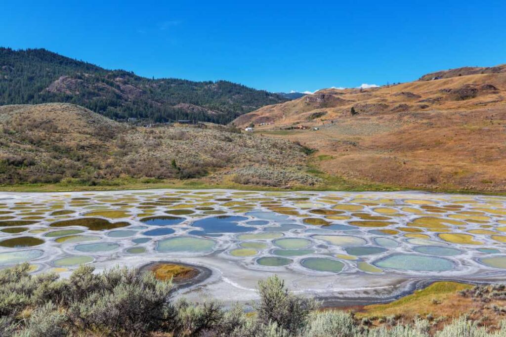 spotted lake