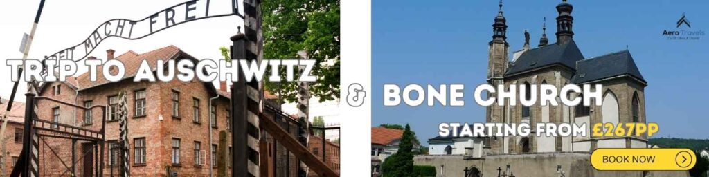 Trip to Auschwitz & Bone Church book now strip
