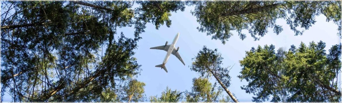 5 most sustainable airlines