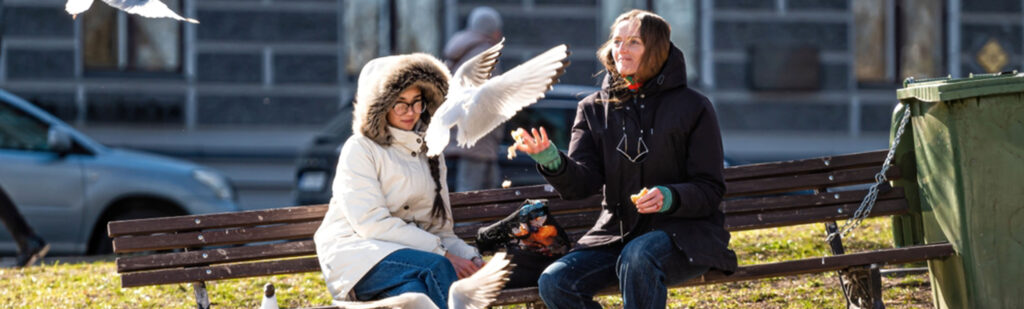 No bird feeding in Venice Italy
